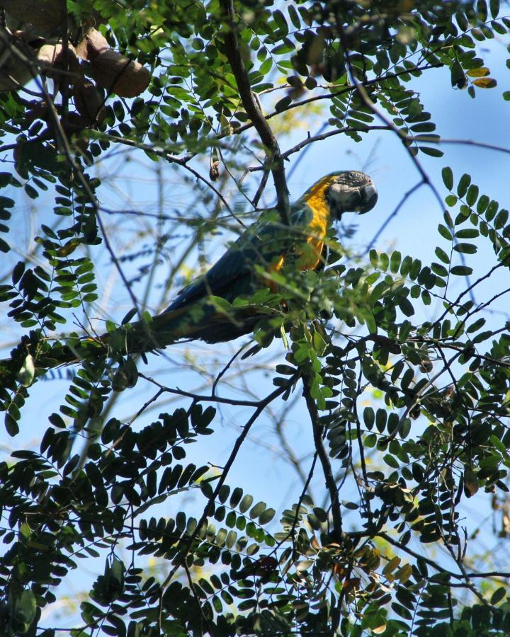 Thermas Goias - Park Veredas Риу-Кенти Экстерьер фото